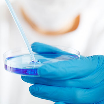 规范、品控管理